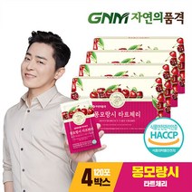 GNM자연의품격 몽모랑시 타트체리 주스 즙 4박스 (총 120포), 단품, 단품