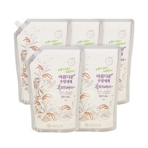 아름다운 주방세제 흑미배아, 1000ml, 5개