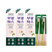 부광탁스 치약 120gX3개+안티프라그S 탄력모X2개