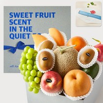 수플린 [리본각인] 과일산책1호 프리미엄 제철혼합과일 10종 선물세트(총5.5kg 이상), 축하합니다. 꽃길만 걸으세요 ♥
