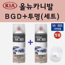 순정품 기아 올뉴카니발 BGD 블랙베리 스프레이 페인트 + 투명스프레이 200ml