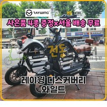 2023 레이윙 디스커버리 프레시 S10 전기 전동스쿠터 750w 16Ah, 화이트(28ah)