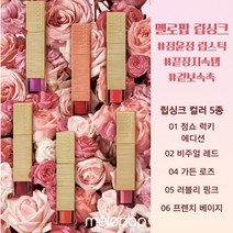 [본사정품] MELOPOP 멜로팝 립싱크 립틴트 정윤정 립스틱 5종 중 택1, 02 비주얼레드