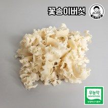 [농사임당] 친환경 무농약 꽃송이버섯 100g / 200g / 400g