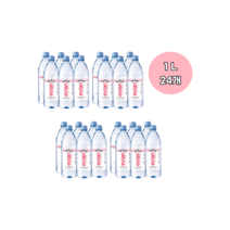 에비앙 미네랄 워터 생수 1L 24개