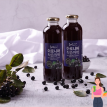 아로니아원액 아로니아착즙 아로니아즙 국내산 500ml 2병, 아로니아 착즙 원액 2병 세트