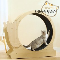 Bulus 무소음 캣휠 고양이스크래쳐 고양이 장난감 실내 다이어트 운동훈련 러닝머신 캣타워, 기본 색상, 작은 것