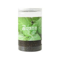 헬로우그린 국산 곰보배추 환 250g 설견초 배암차즈기, 1개