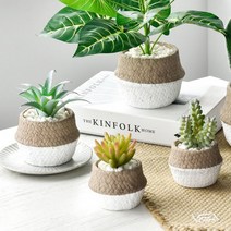 다육식물 팔천대 아가베 청옥 화분 인조 선인장 가든 인테리어 소품 디자인 아이디어 상품, 1개