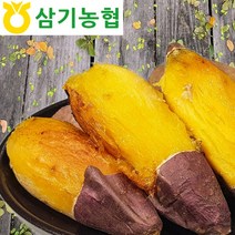 달수고구마 베로니카고구마 베니하루까 탑마루 세척 꿀 햇 날씬이 고구마, 1박스, 10kg