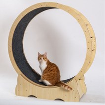 캣휠 가성비 저소음 고양이 운동 용품 장난감 펫휠, 내부지름70cm, 자체조립