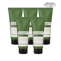 부케가르니 히말라야 허브 나드 티트리 약산성 클렌징폼 150ml x5개, 단일옵션