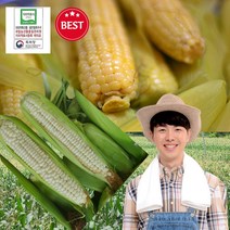 국산 강원도 토종 찐 냉동 햇 찰옥수수 냉동옥수수 10개 20개 30개 미백 햇옥수수 삶은 옥수수 국내산 찐옥수수 냉동 전자렌지용 한자루 전자레인지, 강원도 냉동찰옥수수 20개