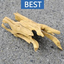 유목 대형 38.3cm 국산