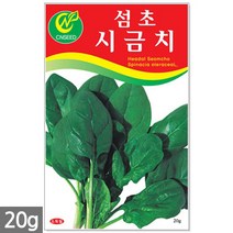 다다기오이 씨앗 15립 - 오이씨 오이씨앗 다다기오이씨앗 오이 씨 다다기오이씨 반백계 주말농장 텃밭, 08_섬초시금치(20g)