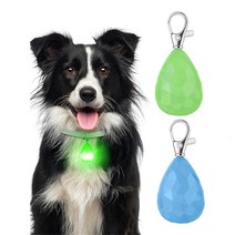 Ozingg 강아지 USB 충전 야간 산책 야광 펜던트, 그린1개 + 블루1개