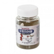 와우피쉬 YB 구피 치어용사료 45g, 1개