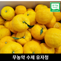 **국산 무농약 수제 유자청** 1kg 유자차 유자엑기스 유자 청 햇유자 고흥유자 전남유자 유자생과 못난이유자 생 햇 못난이 국내산 엑기스, 무농약 수제 유자청 1kg