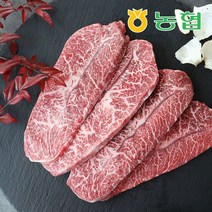 [와룡농협] 안동 1+등급 한우 부채살 400g, 단품