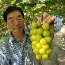 샤인머스켓 정품 2kg 3-4수, 1개