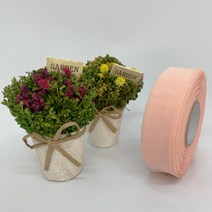포장 리본 끈 제이제이리본 쉬폰리본25mm 40mm 21컬러 (길이 45M) 공단리본, CF02, 25mm