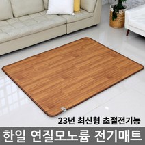 한일 거실용 황토 참숯 온돌마루 모노륨 전기매트, 70x180 미니싱글