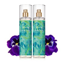 엘리자베스아덴 브리트니 스피어스 아일랜드 판타지 바디미스트 236ml X 2