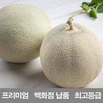 영화농산 영화청과 국내산 멜론 10kg 프리미엄 백화점 납품 가격 허니듀 머스크 시세, 녹색, 상세페이지 별도표기