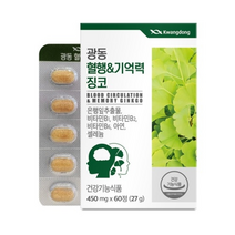 광동생활건강 광동 혈행&기억력 징코 450MG X 60정 X 18박스 비타민B 아연 은행잎추출물