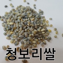 청보리쌀 청색보리쌀 청맥 22년산햇보리쌀, 1봉, 5kg