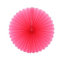 페이퍼휠 25cm 푸치샤, 레드＆그린, 레드그린