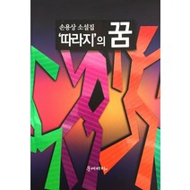 따라지의 꿈:손용상 소설집, 문예바다, 손용상 저