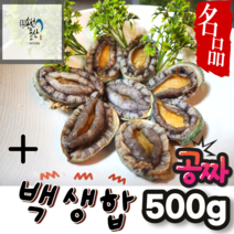 전복 활전복 완도전복 제철 생물 1kg 캠핑용 구이용 찜용 죽 고급활전복 건강식재료, 14-15미