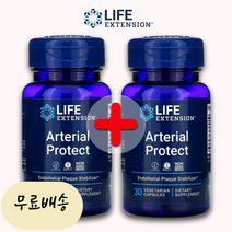 아테리얼 프로텍트 100mg 고투콜라 30정 2병, 2개, 30개