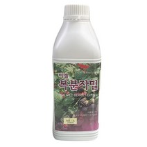 미엘 복분자밀1kg 천연색소
