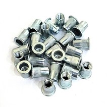 Tspeed 팝너트 M10 규격 20개
