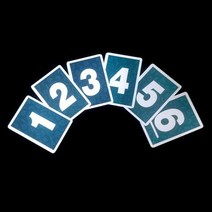 북테스트카드(Book Test Card) 관객이 선택한 책과페이지의 첫번째 단어를 예언할 수 있습니다.
