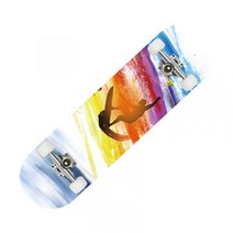 초보자 입문자 스케이트보드 랜드서핑 서프스케이트 스케이드보드, 서핑 형제