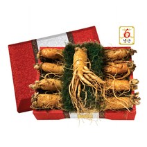 금산 불로 수삼 (왕왕대) VIP 1호, 1개