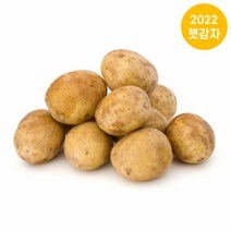 브랜드없음 [착한식탁]포슬포슬 햇 감자 10kg 조림용, 단품없음