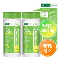건국유업 체지방다이어트 녹차카테킨 120정 2박스 (2개월분)