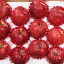 명절과일선물세트 청송사과선물세트 5kg 나주배선물세트 7.5kg 추석선물세트 제수용 로얄과, 고급 배 선물세트 7.5kg 7-10과