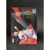 SCC 2019 KBO 프리미엄 컬렉션 1 한국 프로야구 김광현 리미티드 100한정