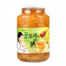 담터 꿀모과차 1Kgx1개, 1kg, 1개