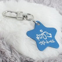 왈가독 강아지 고양이 무료각인 키링 인식표 이름표 D형고리형 (별형), C04.별형-블루