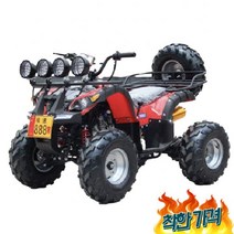 1cc 4륜바이 A 로드 사발이 버기카 농촌 사륜, 리틀 불 패키지 2