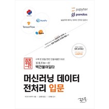 백견불여일타 머신러닝 데이터 전처리 입문:실습하며 배우는 데이터 전처리 입문서, 로드북