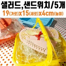 제이스토어 / 케이스 샐러드 소풍일회용도시락 용기 PET 5p, 1, 핑크
