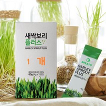 새싹보리 분말 국산 새싹보리 씨앗 뿌리 어린잎 발아 국내산 수경재배 SOD 효소 가바 베타글루칸 폴리코사놀 중금속없는 저온건조 효능, 1개입