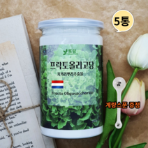 네덜란드 프락토올리고당 분말 신 프리바이오틱스 유산균분양 갈락토올리고당 이눌린 350g5통